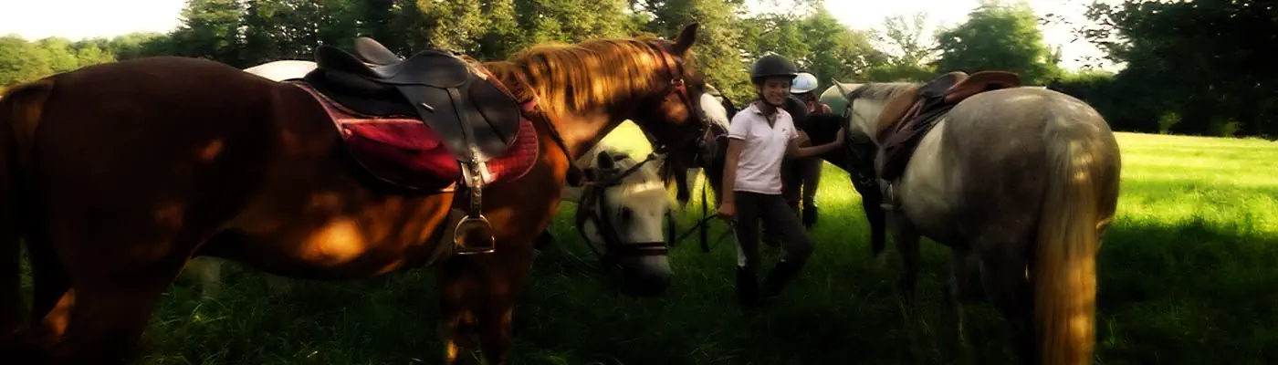 Horse riding and trekking